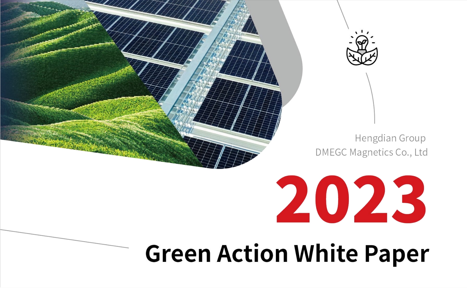 DMEGC Green Action White Paper 2023