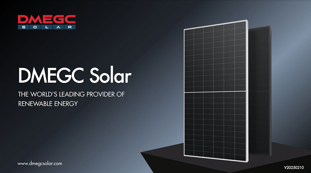 DMEGC Solar 2025H1