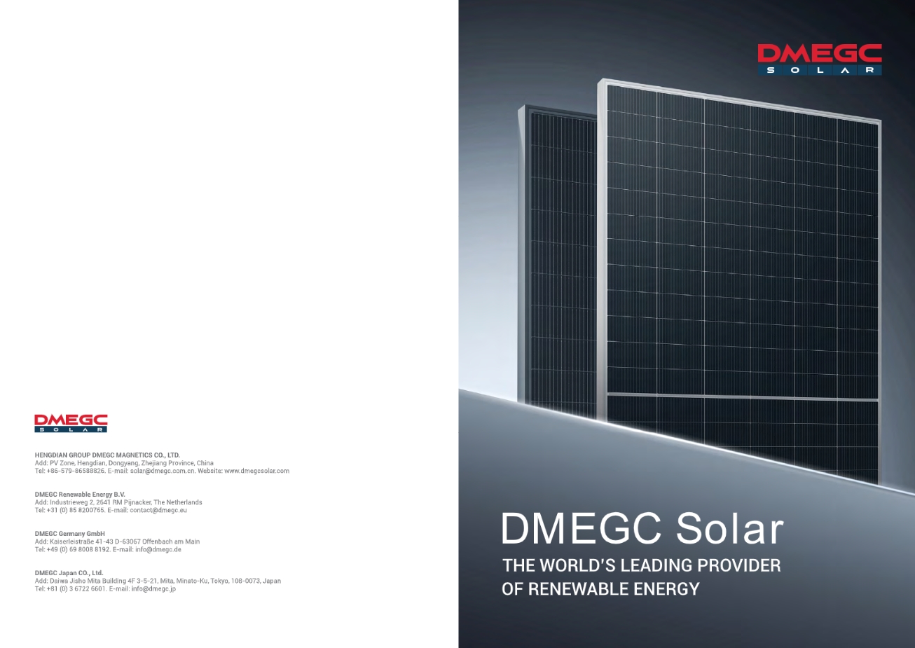 DMEGC Solar brochure-EN-20250328