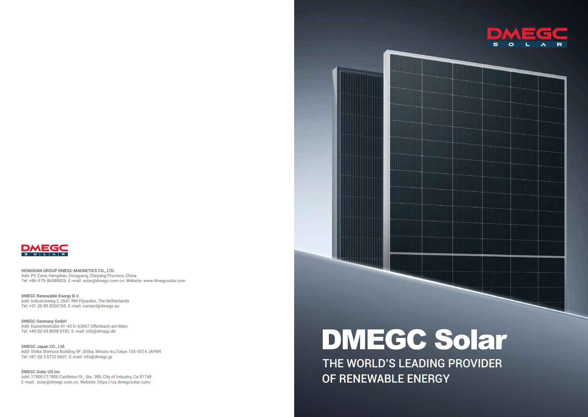 DMEGC Solar brochure-EN-20250729