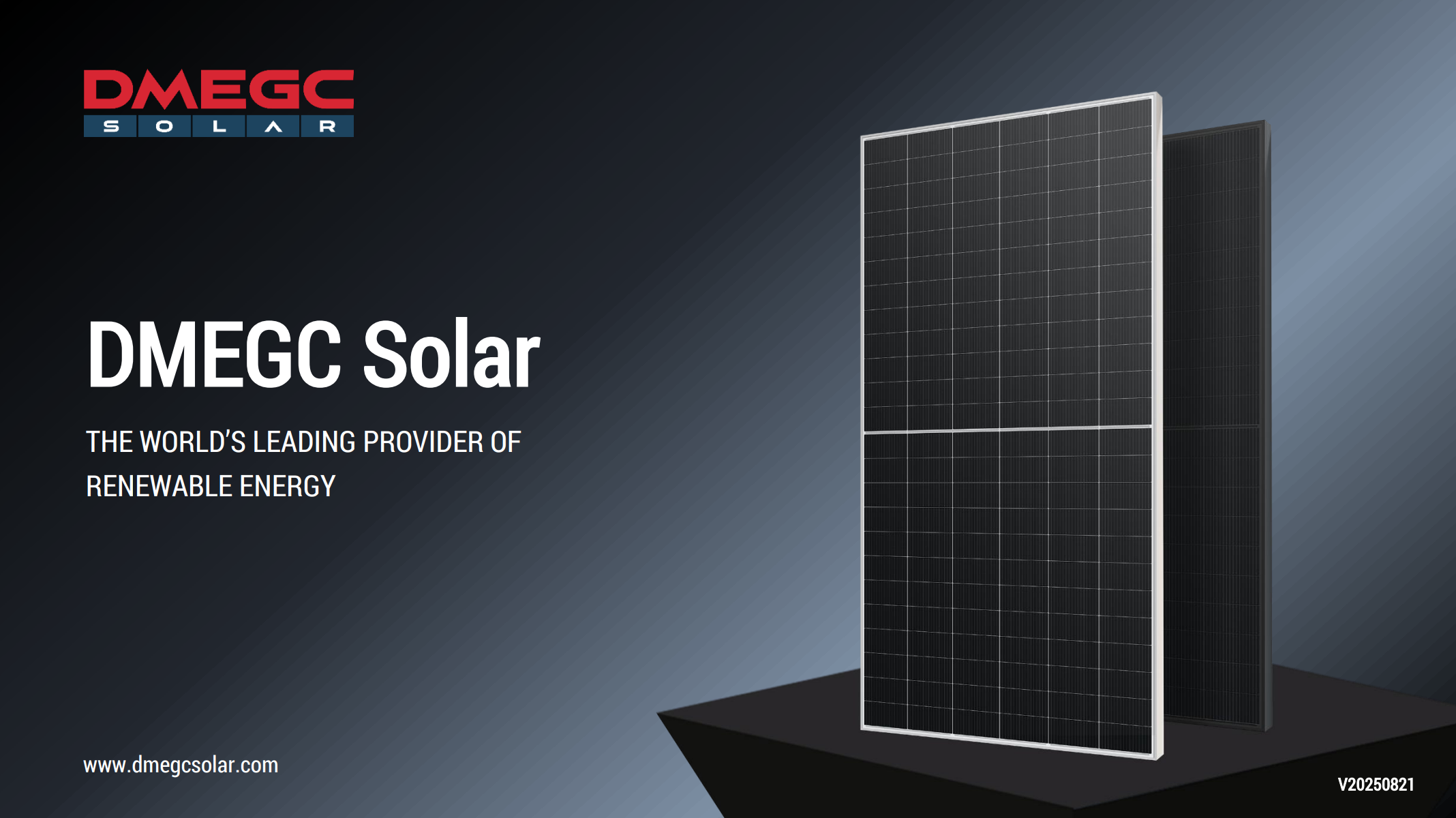 DMEGC Solar 2025H2-EN-20250821