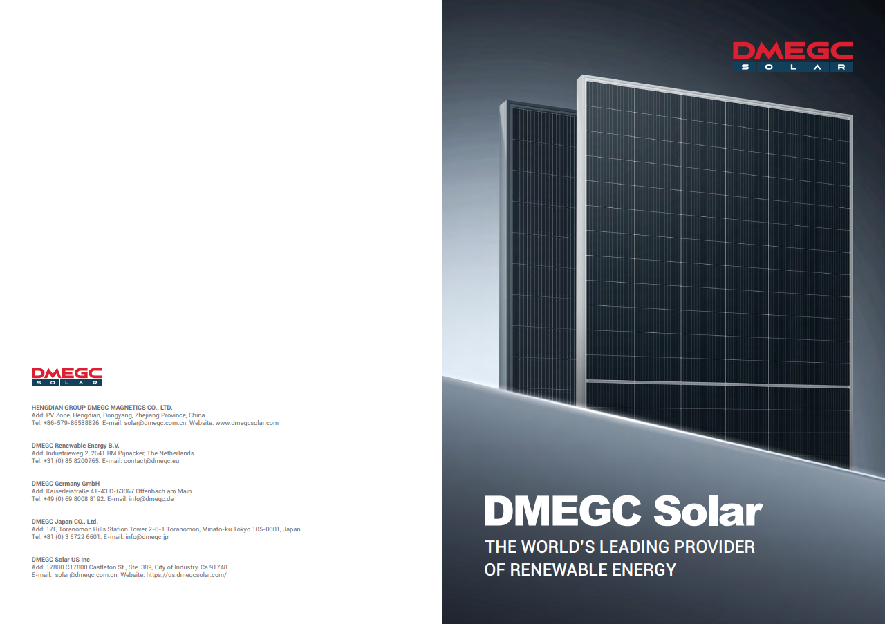 DMEGC Solar brochure-EN-20251017